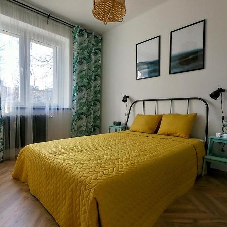 Przytulny Apartament Przy Sokolskiej - 550 Metrow Od Spodka كاتوفيتسه المظهر الخارجي الصورة