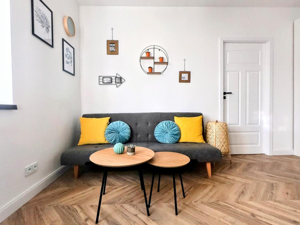 Przytulny Apartament Przy Sokolskiej - 550 Metrow Od Spodka كاتوفيتسه المظهر الخارجي الصورة